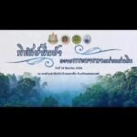 “พิทักษ์ผืนป่า-ถวายพระมารดาแห่งแผ่นดิน”-วันที่-24-ธันวาคม-25
