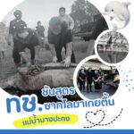 -พบซากโลมาอิรวดีเกยตื้นแม่น้ำบางปะกง-ชี้ชัดภัยอวนประมงยังคุ