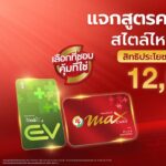 -max-card-plus-แจกสูตรความคุ้มที่ใช่-สายไหน-ชอบแบบไหนก็คุ้ม-|-2025-12-24-08:32:00