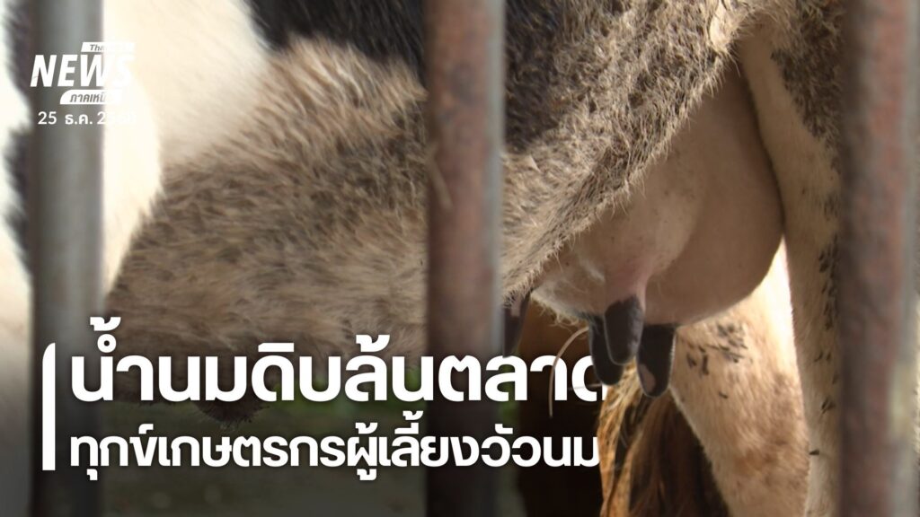 ตลาดรับซื้อน้ำนมดิบในภาคเหนือ-ไม่สามรถรับซื้อได้ทั้งหมด-ส่งผ