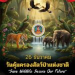 26-ธันวาคม-วันคุ้มครองสัตว์ป่าแห่งชาติ-วันที่-26-ธันวาคมขอ