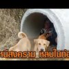 กองทัพเปิดปฏิบัติการร่วมบก-อากาศ ควบคุมพื้นที่บ้านหนองจาน – ชาวบ้านอพยพหนีเสียชีวิตลงท่อระบายน้ำ อัพเดทข่าว