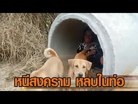 กองทัพเปิดปฏิบัติการร่วมบก-อากาศ ควบคุมพื้นที่บ้านหนองจาน – ชาวบ้านอพยพหนีเสียชีวิตลงท่อระบายน้ำ อัพเดทข่าว
