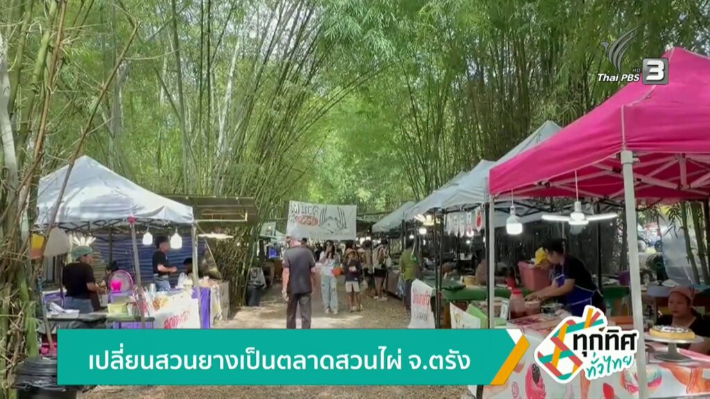 เปลี่ยนสวนยางเป็นตลาดสวนไผ่-จ.ตรัง-ข่าวใต้แลได้ที่เรา-#thai