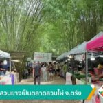 เปลี่ยนสวนยางเป็นตลาดสวนไผ่-จ.ตรัง-ข่าวใต้แลได้ที่เรา-#thai