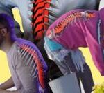 5-สิ่งที่คุณต้องรู้เพื่อป้องกันและจัดการกับอาการปวดหลัง