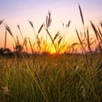 แสงสุดท้ายส่งท้ายของปี-ขอขอบคุณที่ติดตามเพจเราฮักสระบุรีð»