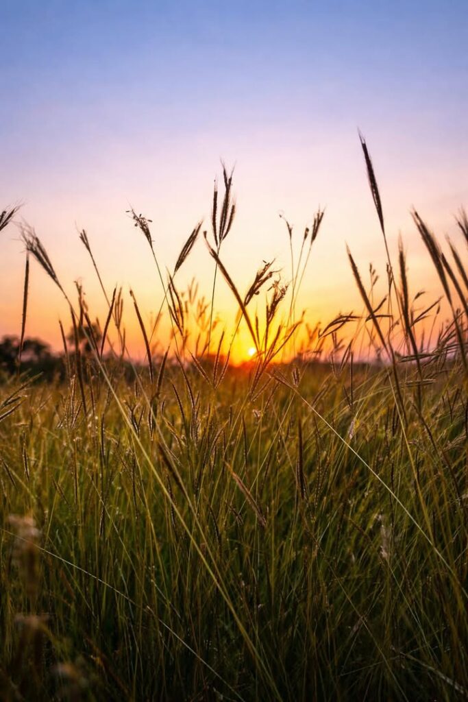 แสงสุดท้ายส่งท้ายของปี-ขอขอบคุณที่ติดตามเพจเราฮักสระบุรีð»