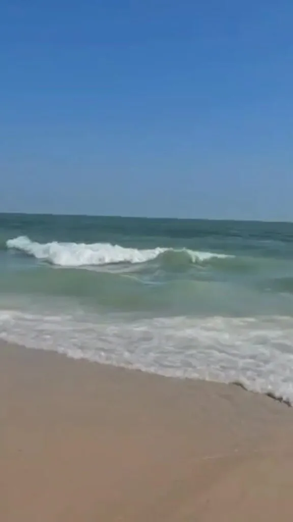 -กรมทะเล-โดยสำนักงานทรัพยากรทางทะเลและชายฝั่งที่-3-ปฏิบัติ