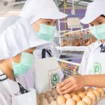 cpf-เพื่อเยาวชน-:-ไข่ไก่-จากอาหารกลางวัน-สู่โอกาสของเยาวชน