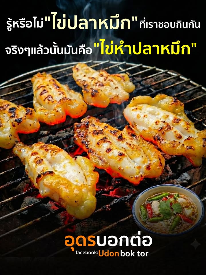 รู้หรือไม่?-ว่า-ไข่ปลาหมึก-ที่เราชอบกินกันนั้น-แท้ที่จริงแล้