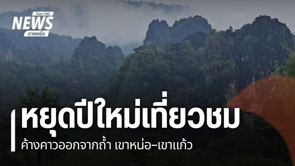 ค้างคาวบินออกจากถ้ำ-บริเวณเขาหน่อ–เขาแก้ว-แหล่งท่องเที่ยวทาง