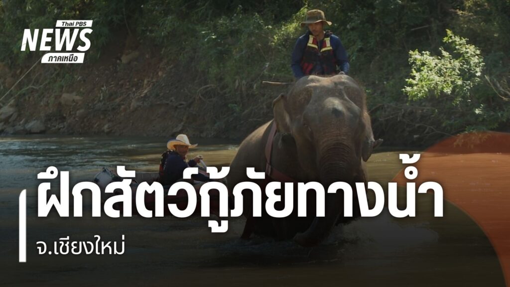 ทีมสุนัขกู้ภัย-k9-ร่วมกับทีมช้างกู้ภัยและอาสากว่า-90-ชีวิต-ฝ