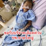 รับบริจาคเลืoด-หาดใหญ่-ขอรับบริจาคเลืoดที่โรงพยาบาลหาดใหญ่-|-2026-01-06-16:18:00