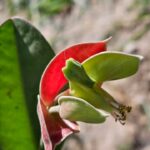 สวัสดีวันพุธ-หยุดสักนิด-เพื่อพิจารณา-ว่าด้วยอุปมาด้วยมื-|-2026-01-07-03:34:00