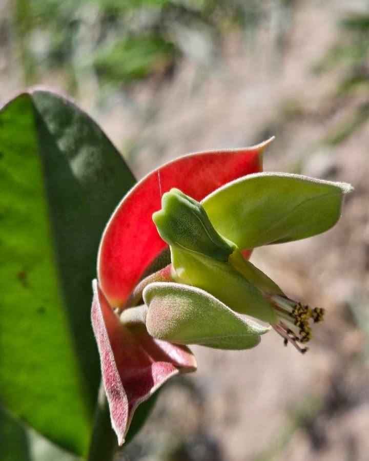 สวัสดีวันพุธ-หยุดสักนิด-เพื่อพิจารณา-ว่าด้วยอุปมาด้วยมื-|-2026-01-07-03:34:00