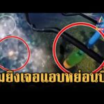 ด่วน เปิดภาพภารกิจทหารแอบหย่อนไข่เน้นๆ กำจัดพลซุ่มยิvเขมร  8 ม.ค. 69