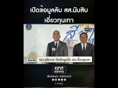 เปิดข้อมูลลับ สส.นับสิบ เอี่ยวทุนเทา | สำนักข่าววันนิวส์