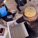 -ของขวัญวันเด็กจากท้องทะเล-ความร่วมมือกว่า-30-ปี-แม่เต่าห