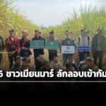 ‘กกล.บูรพา’-จับกุมชาวเมียนมาร์-16-ราย-ลักลอบเดินทางเข้ากัมพูชา-อ้างไปเป็นพนักงานทำความสะอาด