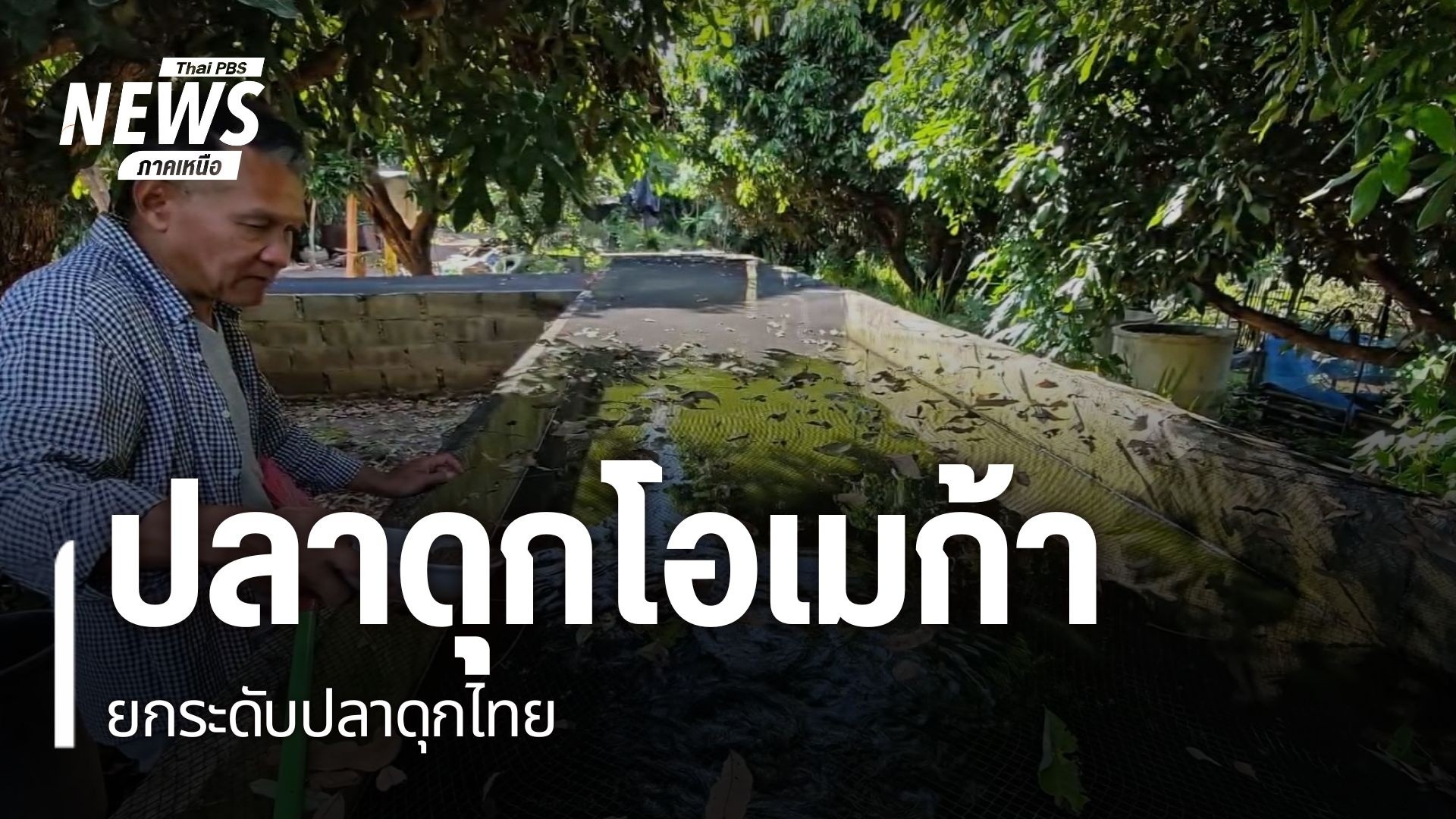 โดยปกติแล้วหากพูดถึงโอเมก้า-3-ซึ่งมีประโยชน์ต่อร่างกาย-คนมัก