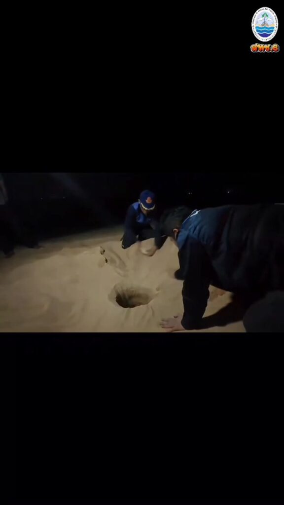 -กรมทะเล-โดย-สทช.6-ส่วนอนุรักษ์ทรัพยากรชายฝั่ง-ได้รับแจ้งว