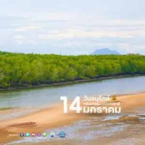 -14-มกราคม-วันอนุรักษ์ทรัพยากรป่าไม้ของชาติ-(national-fores