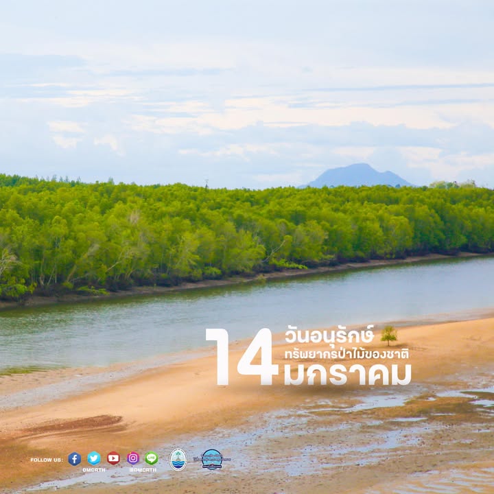 -14-มกราคม-วันอนุรักษ์ทรัพยากรป่าไม้ของชาติ-(national-fores
