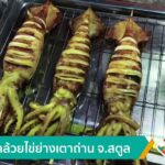หมึกกล้วยไข่ย่างเตาถ่าน-จ.สตูล-ข่าวใต้แลได้ที่เรา-n