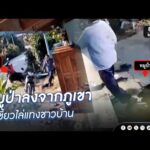 หมูป่าลงจากภูเขา ใช้เขี้ยวไล่แท-งชาวบ้าน | ข่าวนี้ต้องเล่า | สำนักข่าววันนิวส์