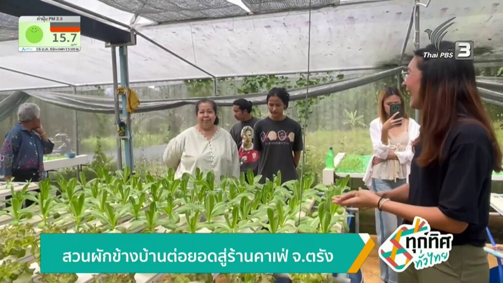 สวนผักข้างบ้านต่อยอดสู่ร้านคาเฟ่-จ.ตรัง-ข่าวใต้แลได้ที่เรา