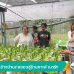 สวนผักข้างบ้านต่อยอดสู่ร้านคาเฟ่-จ.ตรัง-ข่าวใต้แลได้ที่เรา