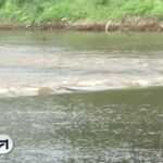 (16/1/69)-…แม้ว่าการขุดลอกแม่น้ำปิง-40-กิโลเมตร-เพื่อแก้ปั