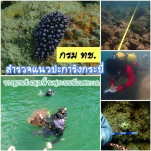 ️-กรม-ทช.-สำรวจแนวปะการังกระบี่-พบผลกระทบฟอกขาวปี-2567-เร่ง