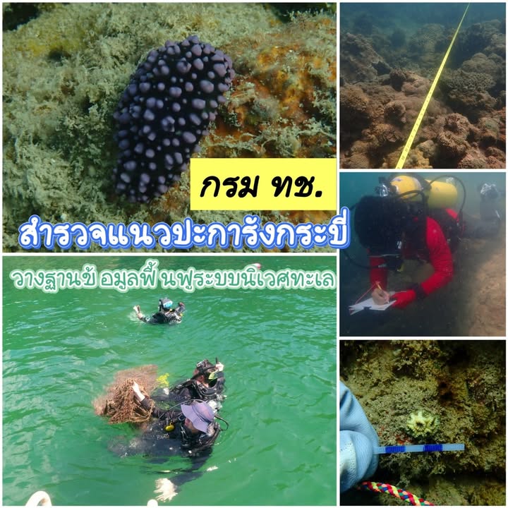 ️-กรม-ทช.-สำรวจแนวปะการังกระบี่-พบผลกระทบฟอกขาวปี-2567-เร่ง