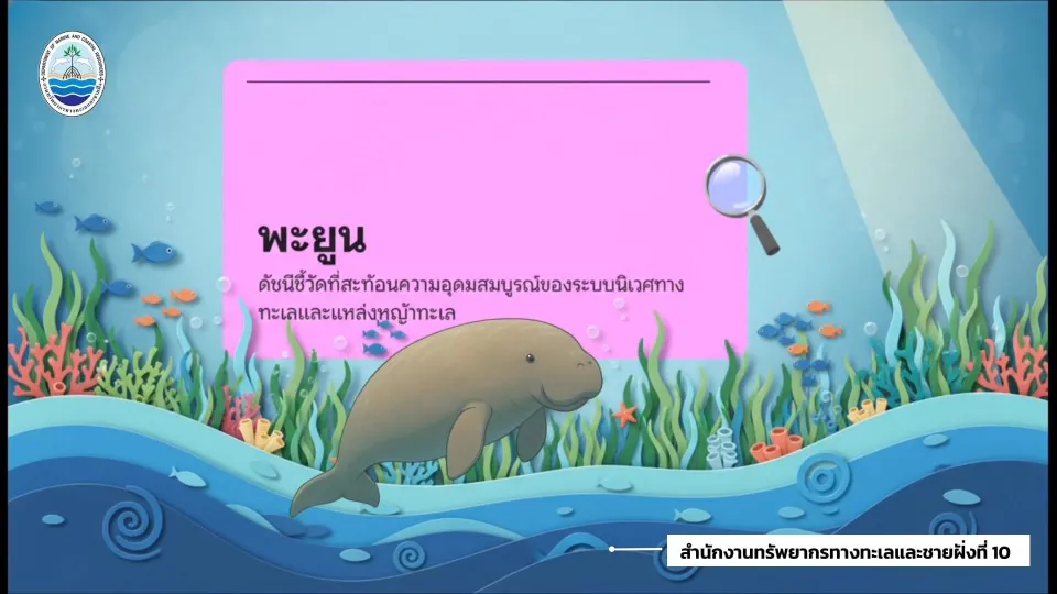 -ð¦­สำรวจพบ-“น้องพะยูน”-ในทะเลกระบี่อย่างต่อเนื่อง.-ดัชนีชี้