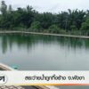 สระว่ายน้ำถูกทิ้งร้าง-จังหวัดพังงา-ข่าวใต้แลได้ที่เรา-ne