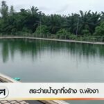 สระว่ายน้ำถูกทิ้งร้าง-จังหวัดพังงา-ข่าวใต้แลได้ที่เรา-ne