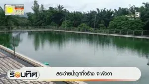 สระว่ายน้ำถูกทิ้งร้าง-จังหวัดพังงา-ข่าวใต้แลได้ที่เรา-ne
