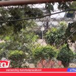 ไฟไหม้โรงงานกลั่นน้ำมันทางเลือกที่ราชบุรี-|-21-ม.ค