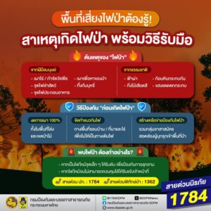 เพราะ-“ไฟป่า”-สร้างความเสียหายรุนแรงกว่าที่คิด-ทั้งทำลายทร
