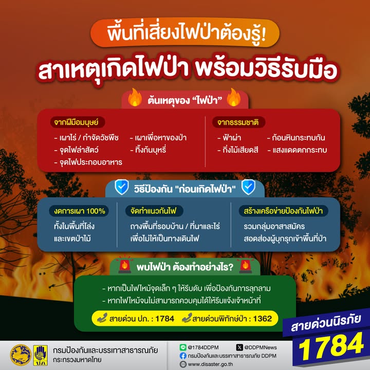 เพราะ-“ไฟป่า”-สร้างความเสียหายรุนแรงกว่าที่คิด-ทั้งทำลายทร