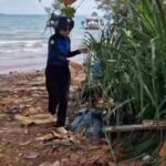 กรมทะเล-เก็บข้อมูลการเปลี่ยนแปลงชายฝั่งของระบบหาด-จังหวัดกร