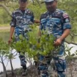 กรมทะเล-เสริมแนวป้องกันป่าชายเลน-ด้วย-dapper-mangrove-patrol
