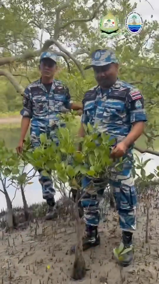 กรมทะเล-เสริมแนวป้องกันป่าชายเลน-ด้วย-dapper-mangrove-patrol
