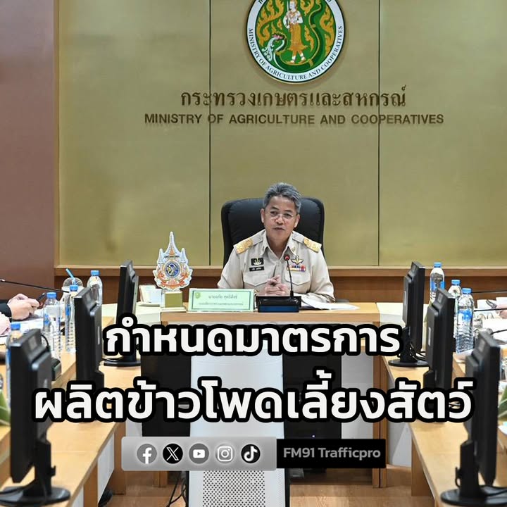กระทรวงเกษตรฯ-เดินหน้ากำหนดมาตรการผลิตข้าวโพดเลี้ยงสัตว์-ปลอ-|-2026-01-20-19:01:00