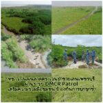 -ทช.-วางแผนลาดตระเวนป่าชายเลนเพชรบุรี-ผ่านระบบ-dmcr-patrol