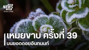 ดอยอินทนนท์หนาวจัด-พบเหมยขาบต่อเนื่อง-39-ครั้ง-ฤดูหนาวปี-256