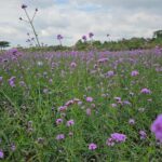 สวัสดีวันเสาร์-พระพุทธองค์ตรัสว่า-อุโบสถเป็นวันศักดิ์ส-|-2026-01-24-01:26:00