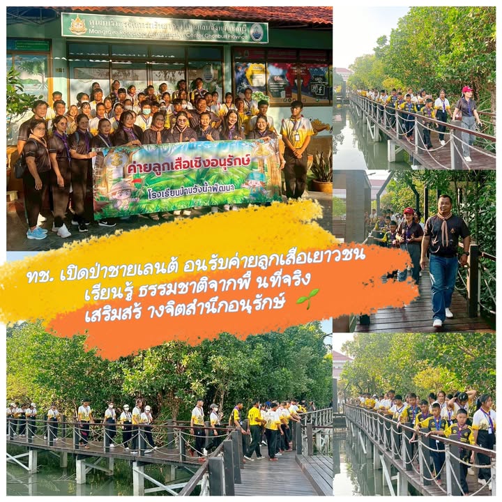 -ทช.-เปิดป่าชายเลนต้อนรับค่ายลูกเสือเยาวชน-เรียนรู้ธรรมชาติ